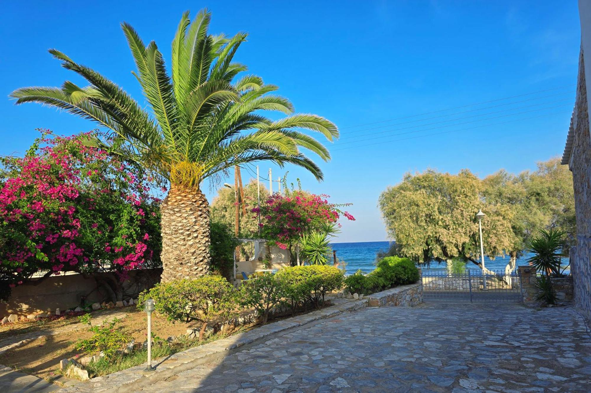 Villa Dolphin أزوليمنوس المظهر الخارجي الصورة